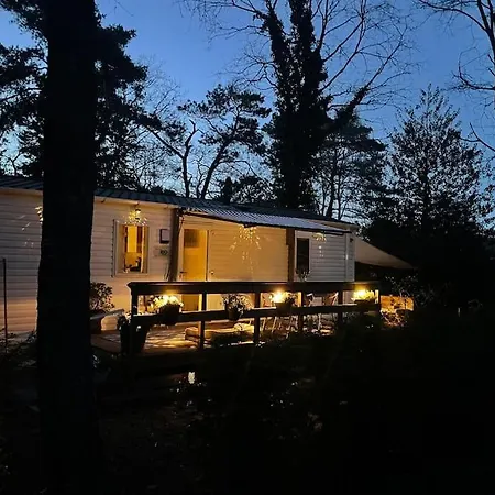 Knus Midden In De Bossen *