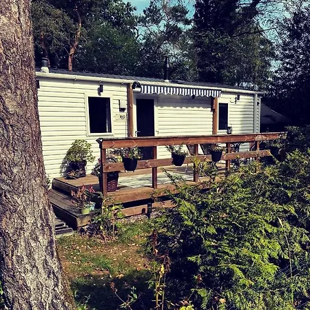 Knus Midden In De Bossen Nunspeet