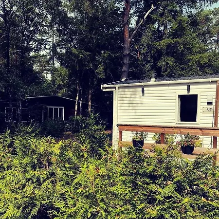 Knus Midden In De Bossen *