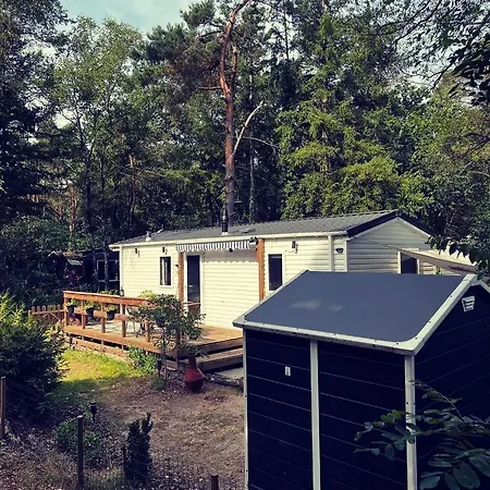 Knus Midden In De Bossen * Nunspeet