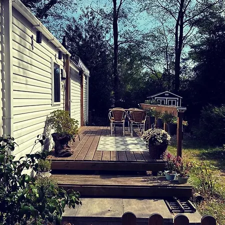 Knus Midden In De Bossen Dağ evi *