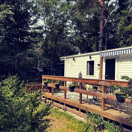 Knus Midden In De Bossen Nunspeet