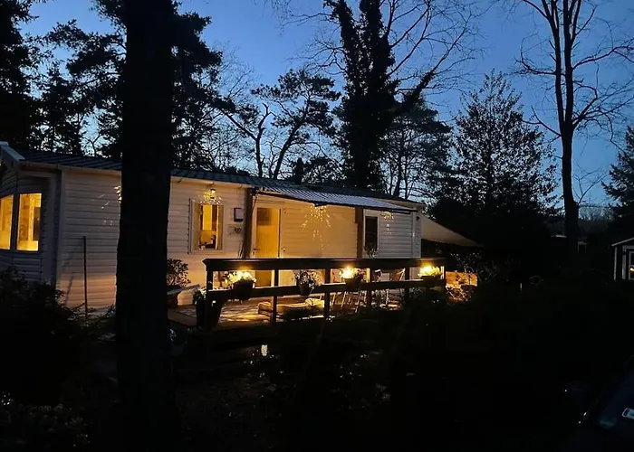 Knus Midden In De Bossen *