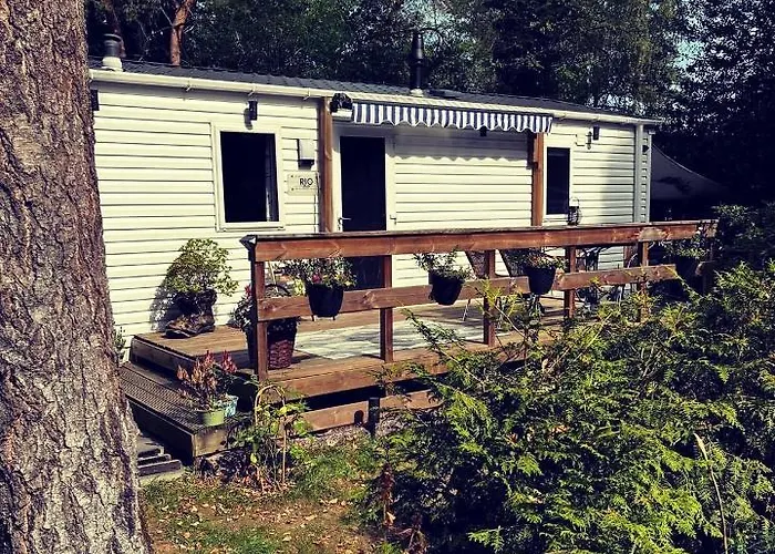 Knus Midden In De Bossen Nunspeet