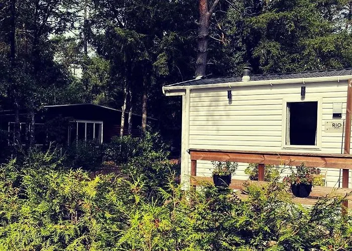 Knus Midden In De Bossen *