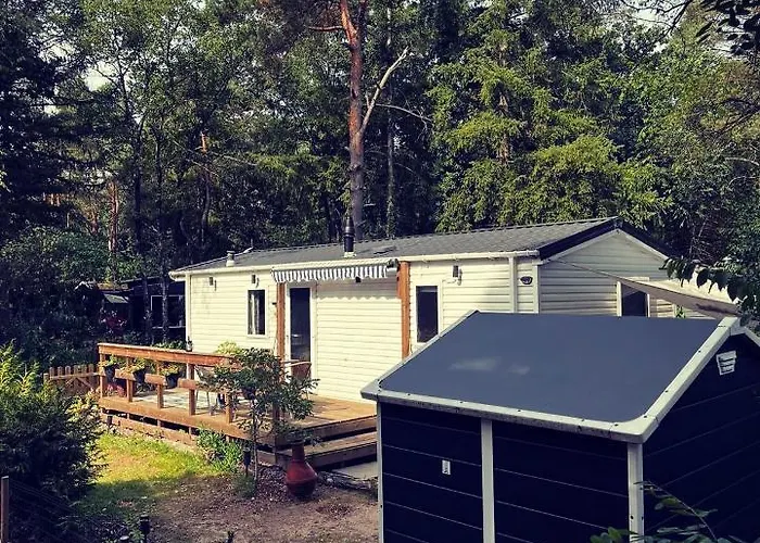 Knus Midden In De Bossen * Nunspeet