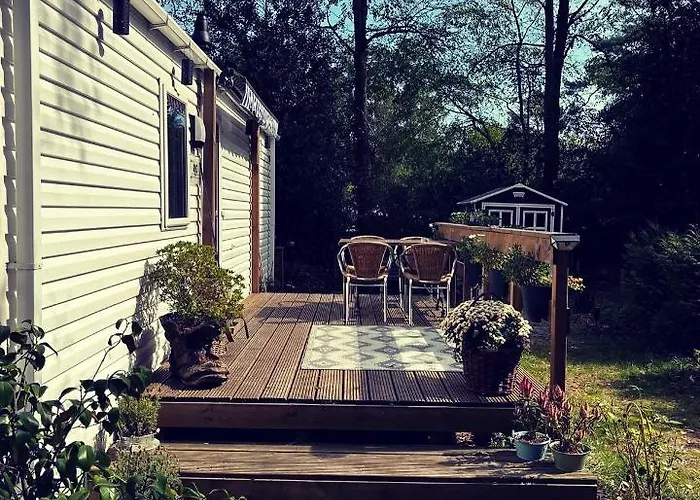 Knus Midden In De Bossen Chalet *