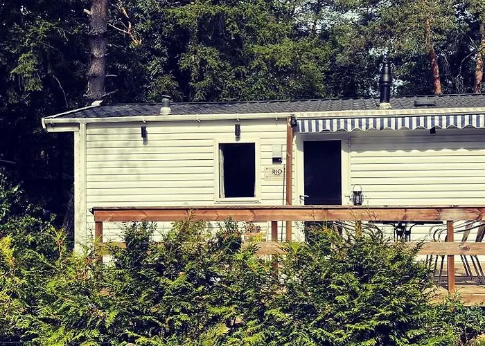 Knus Midden In De Bossen Nunspeet